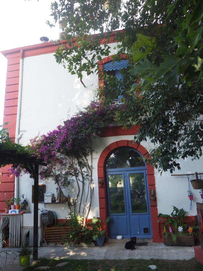 La Gare De Millas Chambres D'Hotes ภายนอก รูปภาพ